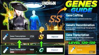 UNDAWN Genes SS Rating | Undawn Genes Max Rating | undawn genes Beginner Guide