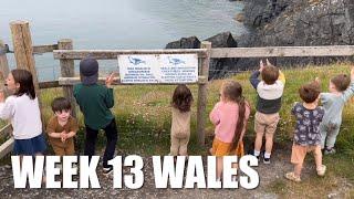 SPOTTING SEALS IN WALES! (DID WE SPOT ANY?!) | WEEK 13: WALES