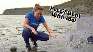 Fossil Hunt With Me Along The Jurassic Coast - Kimmeridge - Fossil Friday