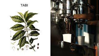 What is Tabi? | Single Origin Varietal Coffee Explained