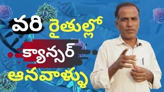 వరి రైతుల్లో క్యాన్సర్ కారకాలు|Heavy pesticides leads to cancer in farmers|Karshaka Nestham