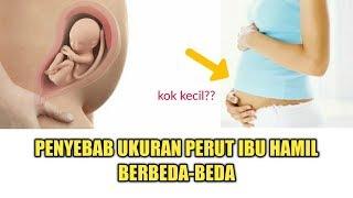 Penyebab Ukuran Perut Ibu Hamil Berbeda-beda | Kok ada yang Masih Kecil?