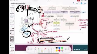 Congestive Heart Failure #cardiology 107 | First Aid USMLE Step 1 in Urdu/Hindi |