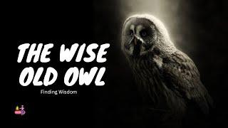 The Wise Old Owl | Finding Wisdom | Motivational Story