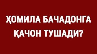 Ҳомила бачадонга қачон тушади? | When does the fetus enter the uterus?