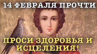 ВСЕГО 30 СЕКУНД! ПРОСИТЕ ЗДОРОВЬЯ, ИСЦЕЛЕНИЯ СЕЙЧАС! 14 февраля - СВЯТОЙ МУЧЕНИК ТРИФОН