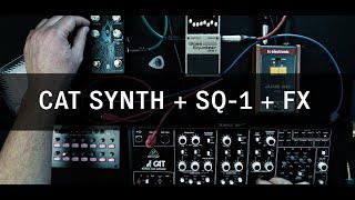 Behringer CAT + KORG SQ-1 + June-60 Corus + Dark Star Reverb | riemannkollektion.com