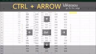 [Excel] Use Ctrl + Arrow Hotkey to select data