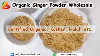 Hot Sale Ginger powder Wholesale Price #gingerpowder