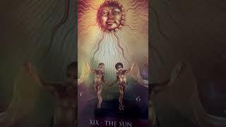 The SUN! #shorts #tarot #reading #today