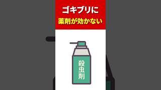 【駆除】 薬剤の効かない特殊なゴキブリ#shorts