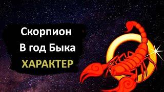 Скорпион в год Быка - характер