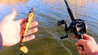 Pike Fishing with the StrikePro Pig Shad! (wade fishing)