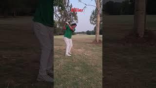 killer swing #golfswing #fypシ #lifestyle #lifestyle #fypp #passion #fyptiktok #fypyoutube #fypp