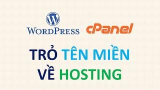 Hướng dẫn cách trỏ tên miền (domain) về hosting cho người mới [rất dễ làm]