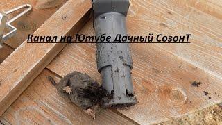 SuperCat Vole Trap ловушка для кротов отзыв