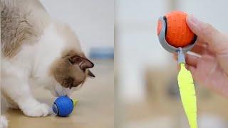 Speedy Tail 2.0 Cat Toy Review 2025 - Interactive Cat Ball Toy