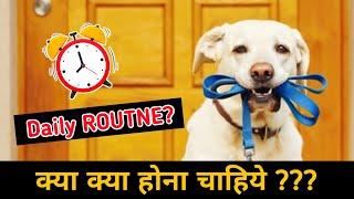 Daily ROUTNE? / Full Day Routine / Dog or Puppy Full Day Activities 