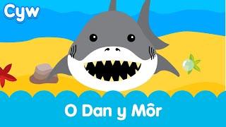 Cân O Dan y Môr Cyw | Cyw's Under the Sea Song