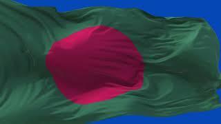 Bangladesh Flag Laying Waving | GREEN SCREEN & CHROMA MATTE