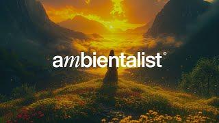 The Ambientalist - The Answer