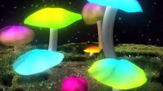 Mushroom Forest