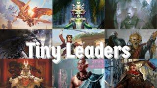A Defence of Tiny Leaders