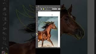 Horse logo design tutorial using Adobe illustrator #art #shorts