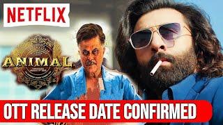 Animal Ott Release date | Animal Ott Update | Animal Ott Par Kab Aayegi | Animal Ott Platform Update