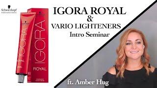 IGORA ROYAL and VARIO Lighteners Intro Seminar | Schwarzkopf Professional USA