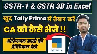 How Prepare GSTR1 And 3B From Tally Prime | CA ko GST Returns Kaise Send kare