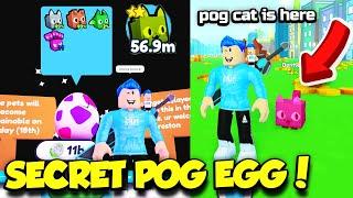 I Found The SECRET POG EGG In Pet Simulator X And FINALY GOT RAINBOW POGCAT PET!! (Roblox)