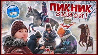 Зимний ПИКНИК с ЛОШАДЬМИ  2х дневный VLOG