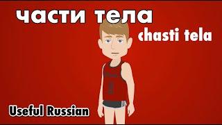 Learn Useful Russian: части тела - The Parts of the Body
