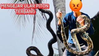 2 HARI BERBURU DI HUTAN DAN MUARA || dapat ular piton terbang