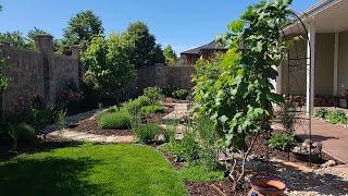 What do Water Efficient Landscapes Look Like in Utah  #4 A Backyard Paradise!