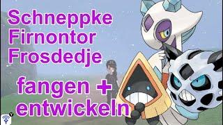 Schneppke, Firnontor, Frosdedje fangen + entwickeln | Pokemon Schwert und Schild