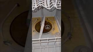 Dishwasher Not Draining