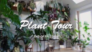 Plant Tour! | End of fall Updates