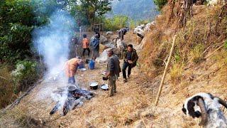 shepherd life of Nepal || Rural Nepal Quest || @ruralnepalquest