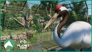 Red-Crowned Crane Aviary | Elm Hill City Zoo | Planet Zoo