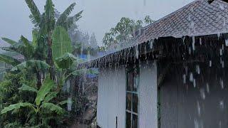 Heavy Rain & Thunderstorms Hit My Village Every Day, Sleep Well Every Moment - Indorain