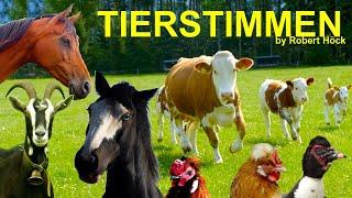 15 minutes of HAPPY FARM ANIMALS with their natural voices - FOR KIDS - cow, sheep, goat, horse, hen