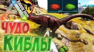 Самые Мощные КИБЛы Для Приручения - ARK Survival Evolved Модифицированное Выживание #13