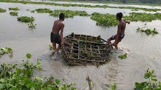 Amazing Fishing, Horga Fishing Trap, Fishing, Saifuddin bd