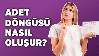 Adet Döngüsü Nasıl Oluşur? - Op. Dr. Ayşe Duman