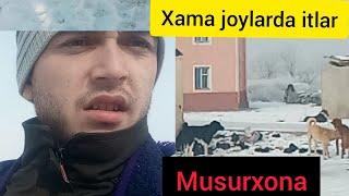 Xovos tuman obodonlashtirish va gulbaxor  maxala raysiga murajad nmas bu axvol