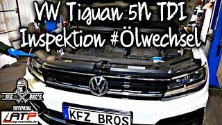 VW Tiguan 5N2 EA288 TDI *DFH* | Inspektion | #3 Ölwechsel + Filter | Oil Change + Filter