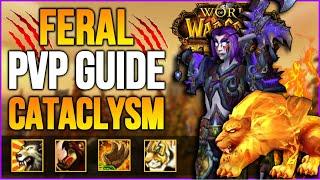 Feral Druid CATACLYSM PVP Guide  | Gameplay, Rotation, Changes, Stats, Talent | CATACLYSM CLASSIC