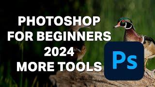 Photoshop For Beginners 2024 - Lesson 3 - Even MORE Tools!